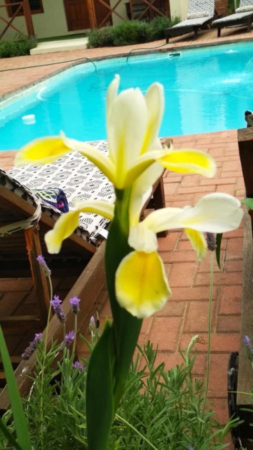 Malherbe Guesthouse Montagu Buitenkant foto